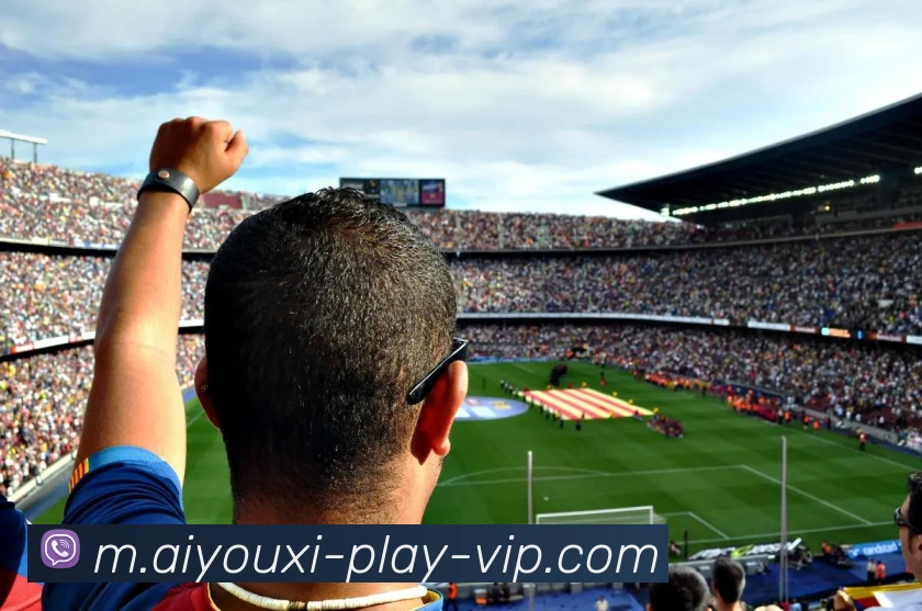 爱游戏服务体系